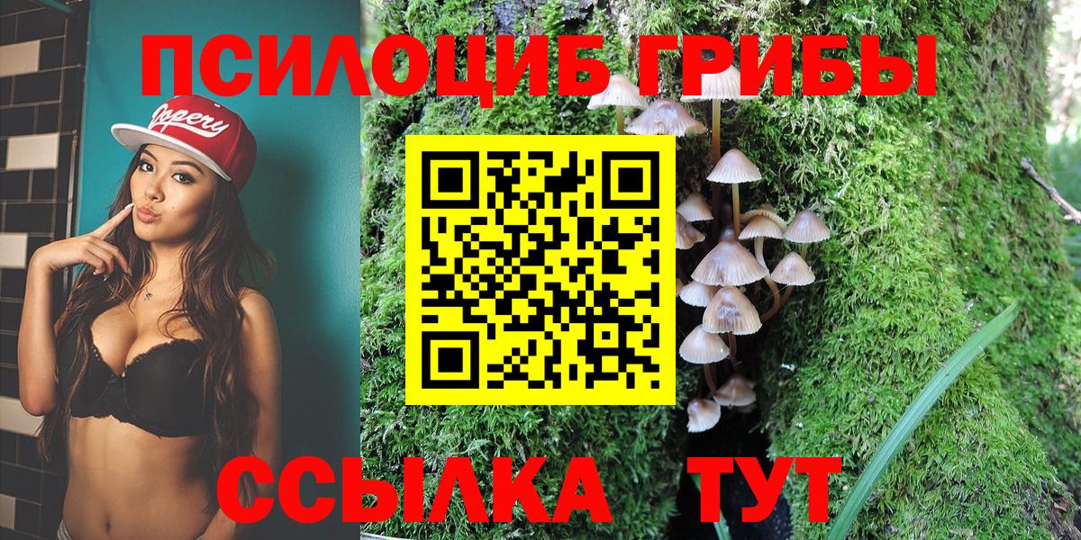 Галлюциногенные грибы мухоморы Корсаков
